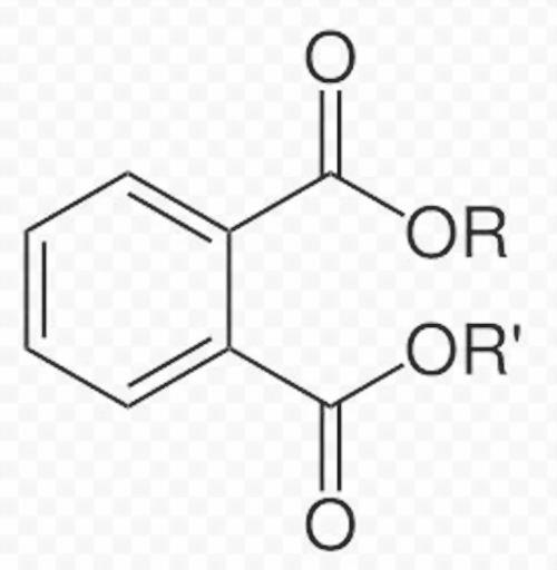 (鄰苯二甲酸酯)