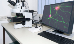物理化學(xué)性能檢測(cè)