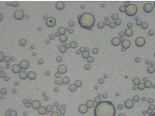 粒度檢測標準哪里的檢測機構可以做?