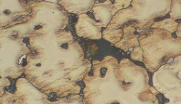 什么是晶粒度測試